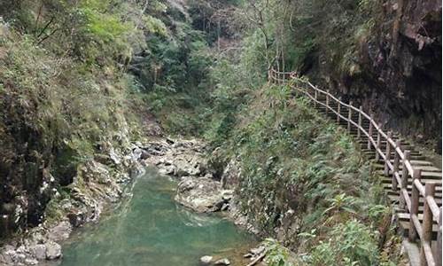 江西三百山旅游攻略最新_江西三百山旅游攻略最新路线