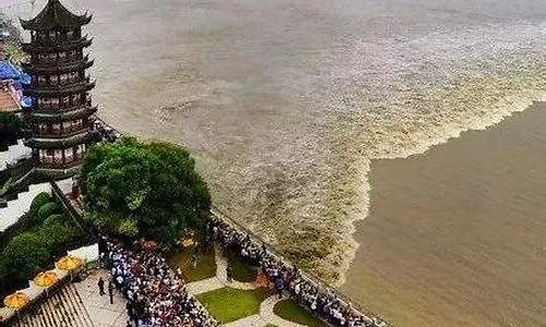 海宁观潮攻略一日游_海宁观潮攻略一日游路线