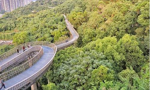 金牛山公园玻璃栈道_金牛山公园玻璃栈道怎么走