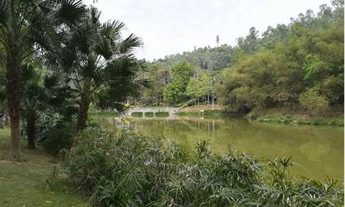 龙岗龙城公园地址_龙岗龙城公园地址在哪里