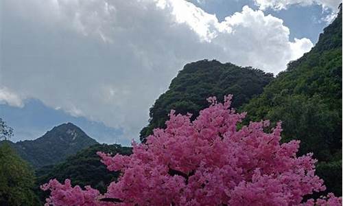 太平森林公园一日游_太平森林公园一日游攻略